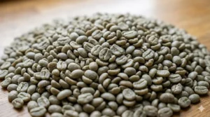 Unroasted green Colombian coffee beans showing the natural texture before roasting.